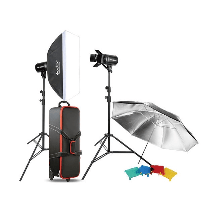 Godox E250-F Dual E250 Studio Flashes Kit 1