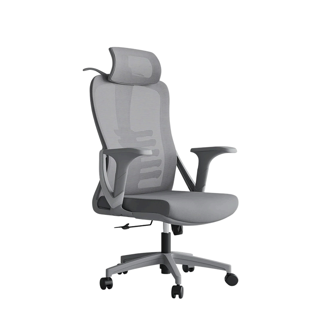 Cadeira de Escritório 4850 1