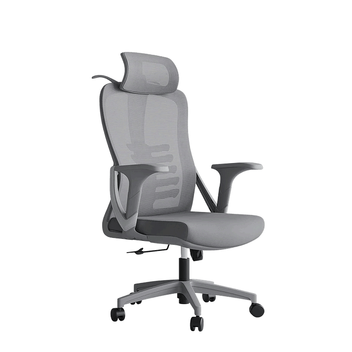 Cadeira de Escritório 4850 1