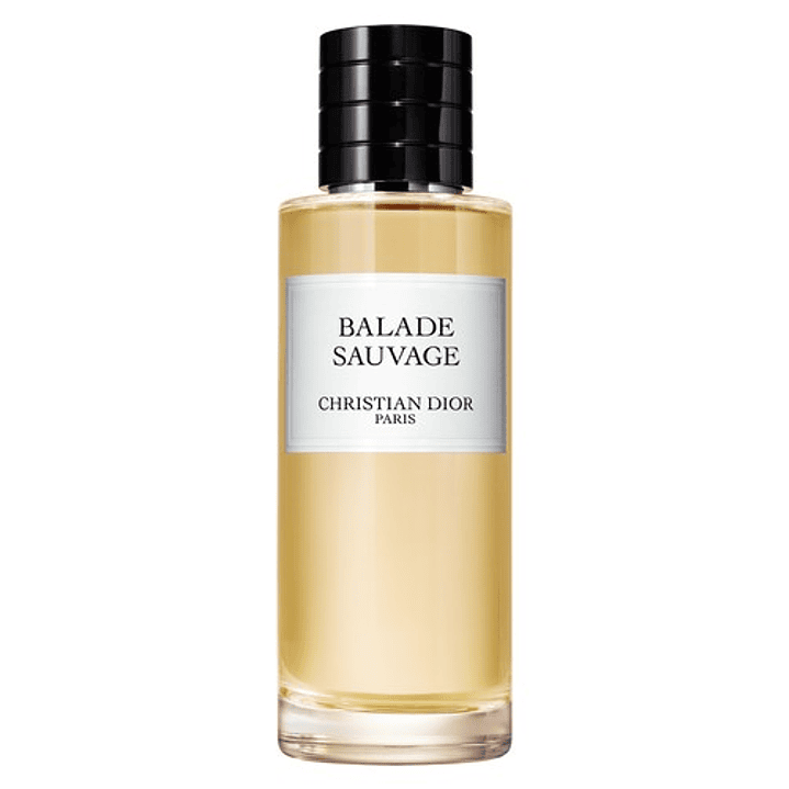 Christian Dior Balade Sauvage EDP 125ml 1