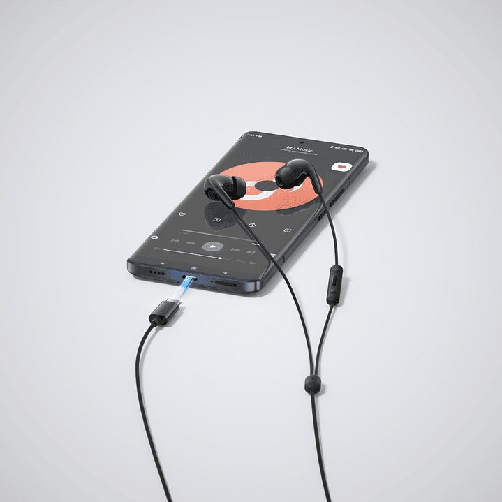 Xiaomi Type-C Earphones (Preto) 5