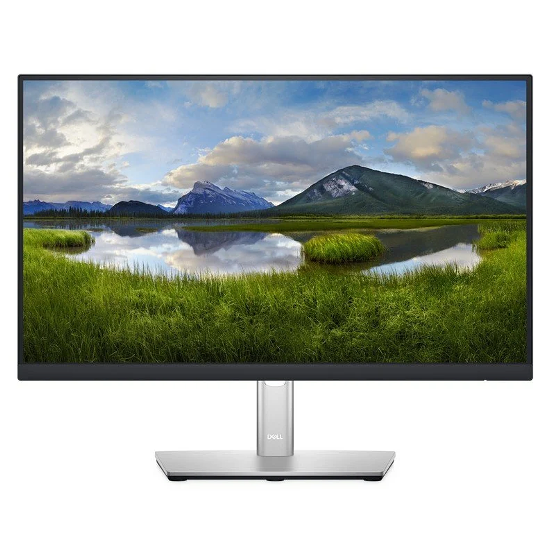 Monitor DELL P2422H 23.8