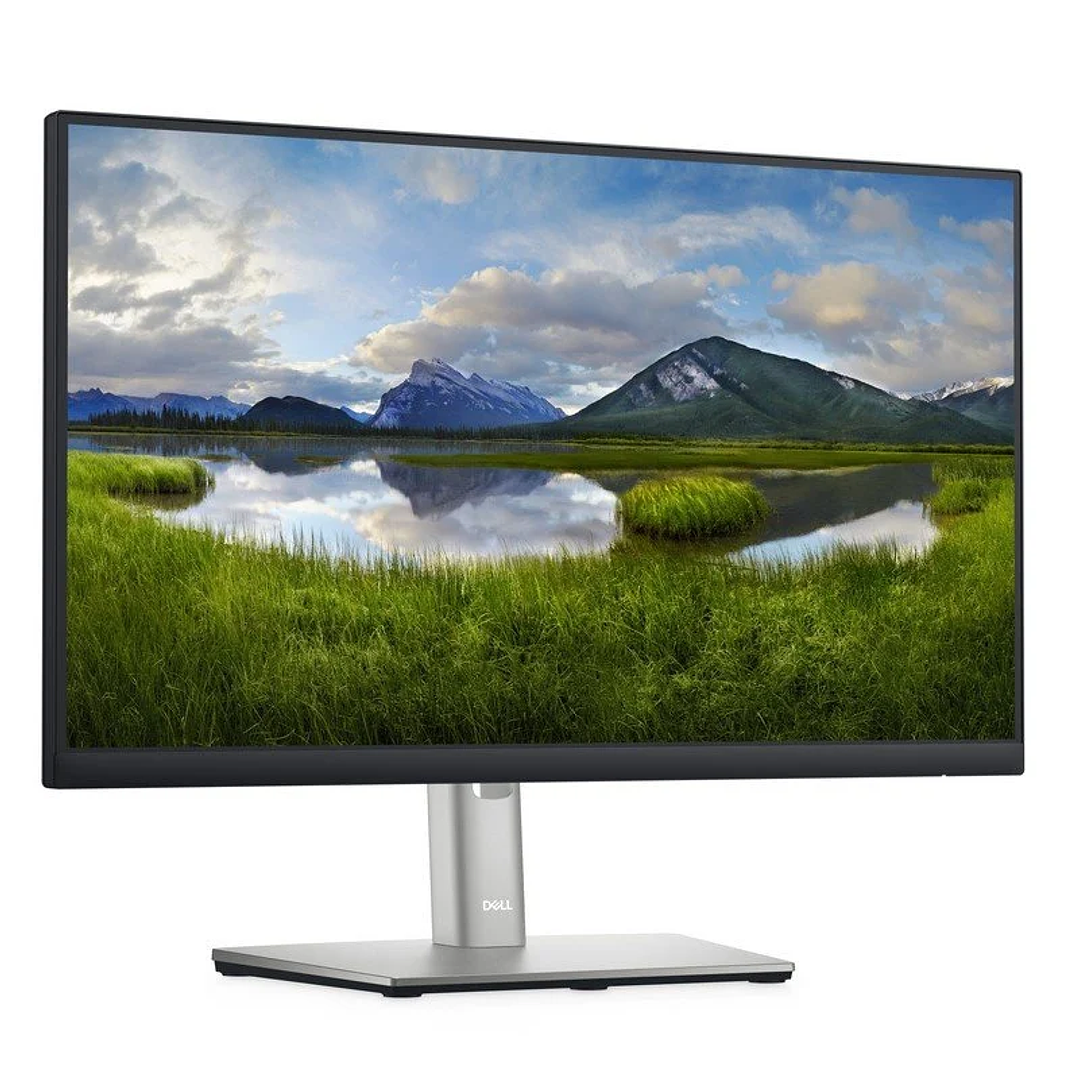 Monitor DELL P2422H 23.8