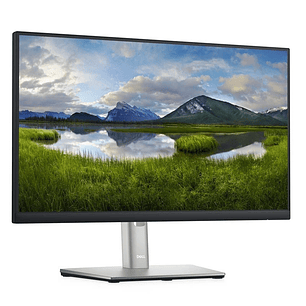Monitor DELL P2422H 23.8