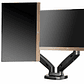North Bayou - Dual Arm Mount For 17″- 27″ Monitors (F160) - Thumbnail 7