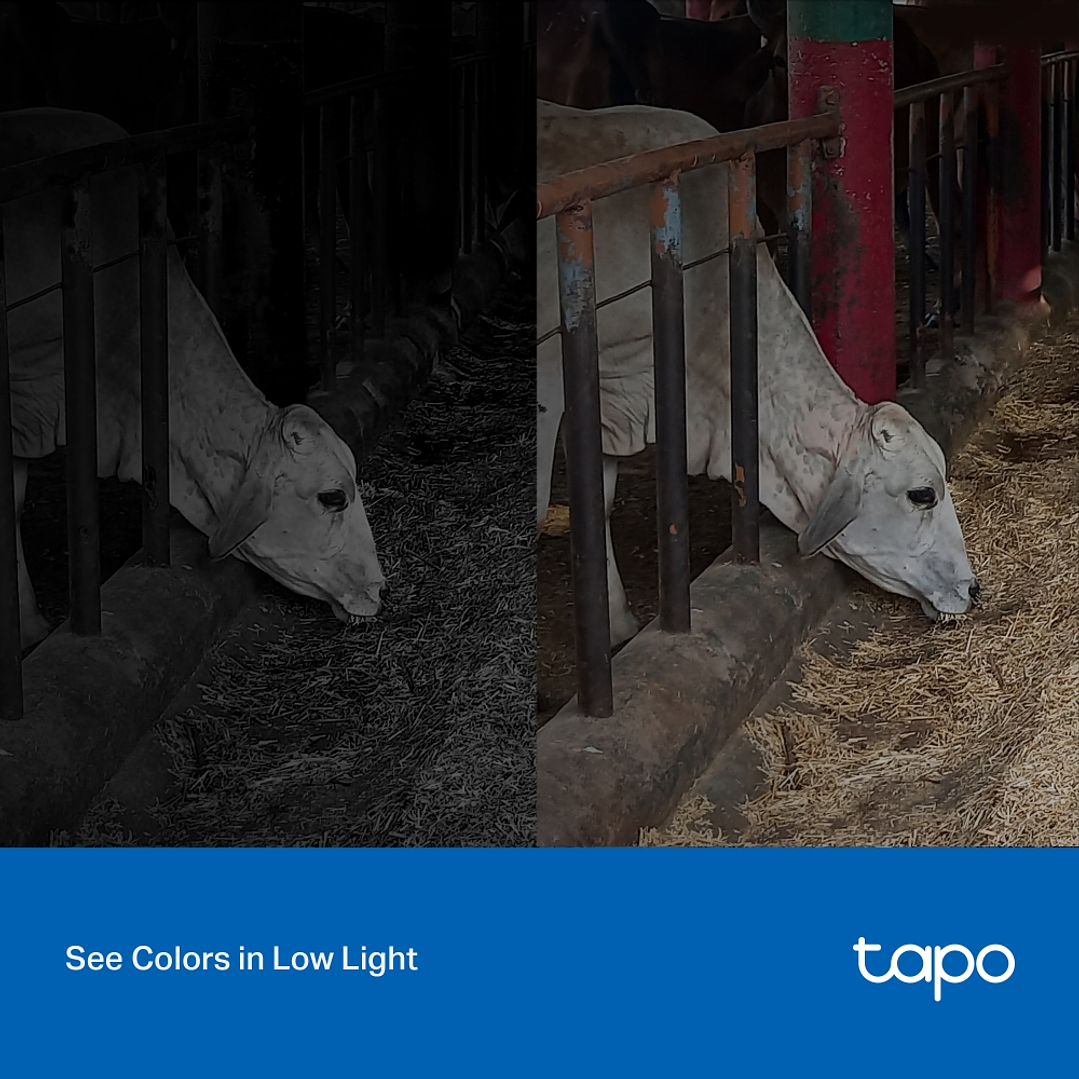 Tp-Link Câmera de Segurança (Tapo C320WS Outdoor) 6