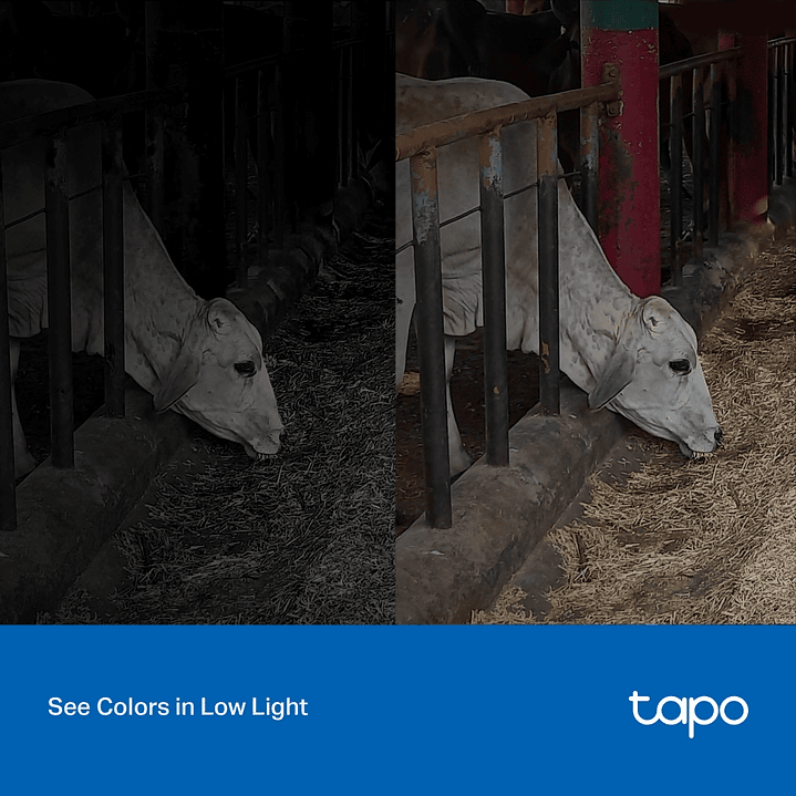 Tp-Link Câmera de Segurança (Tapo C320WS Outdoor) 6