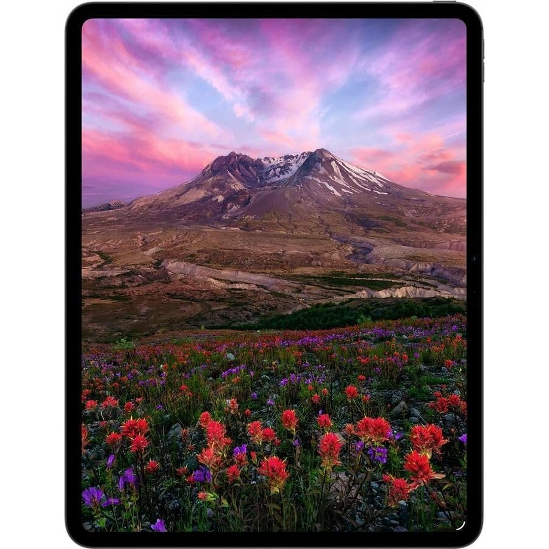 iPad Pro M5 (11'' - 256 GB - Wi-Fi) 3