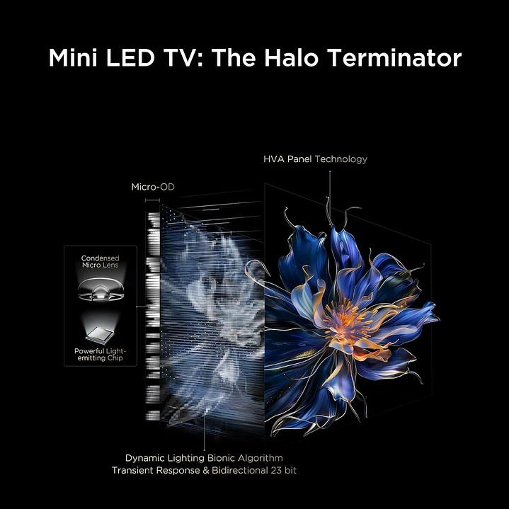 TCL 55C6K Televisor 55