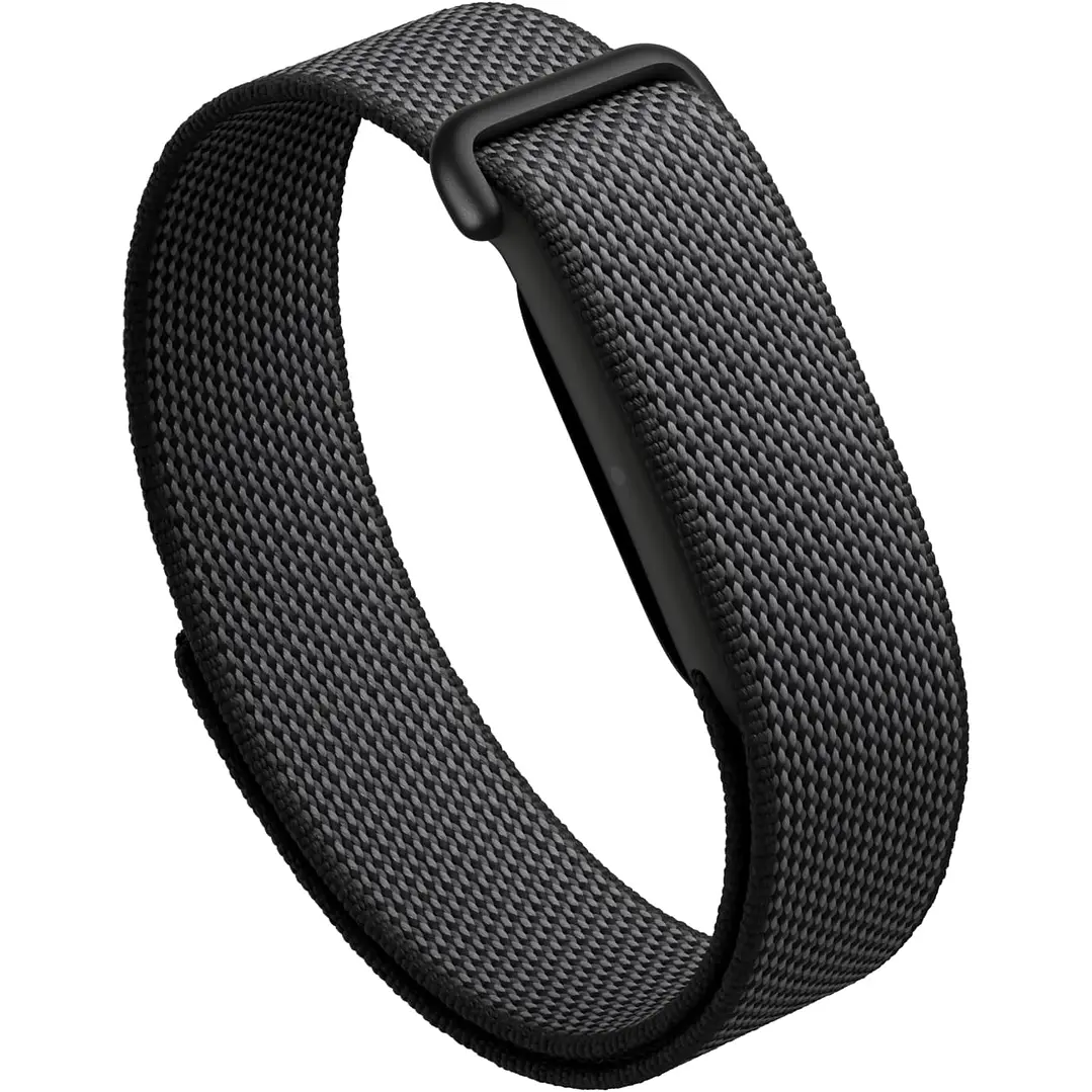 Google Fitbit Air 1