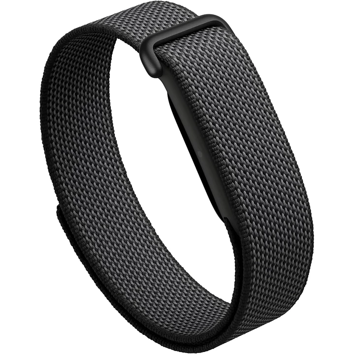 Google Fitbit Air 1