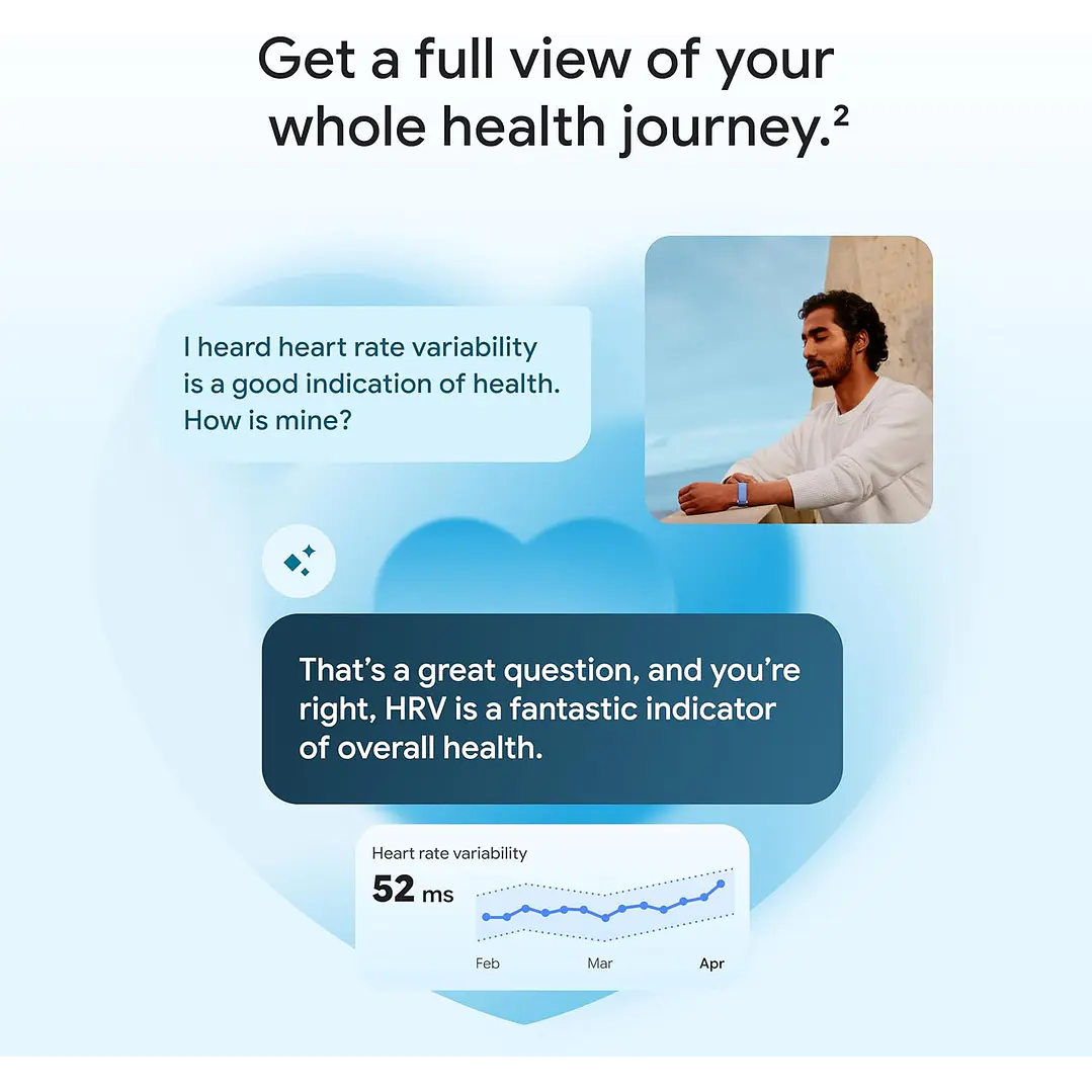 Google Fitbit Air 6