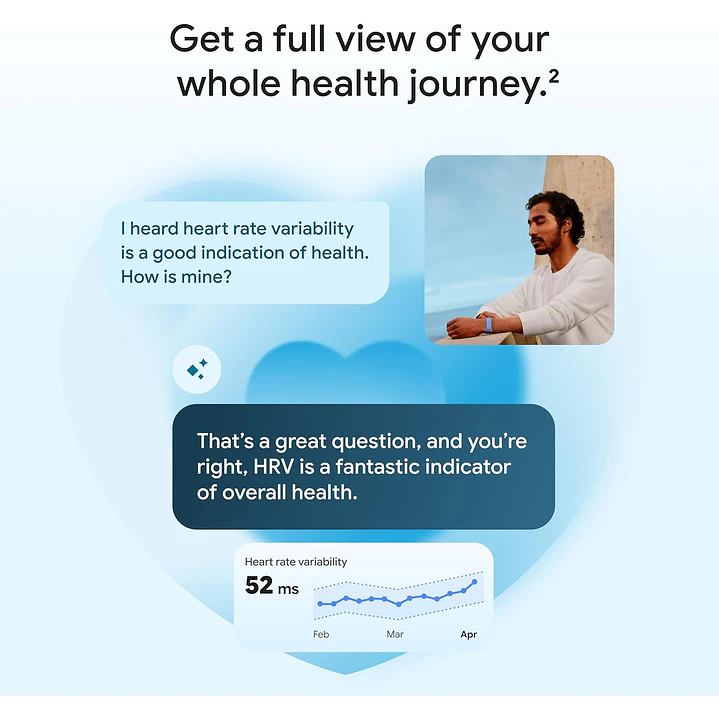 Google Fitbit Air 6