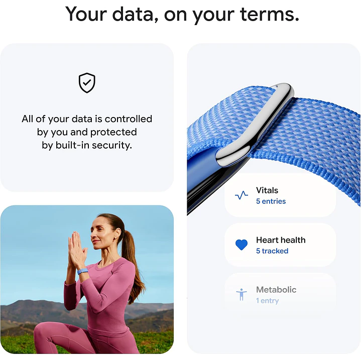 Google Fitbit Air 7