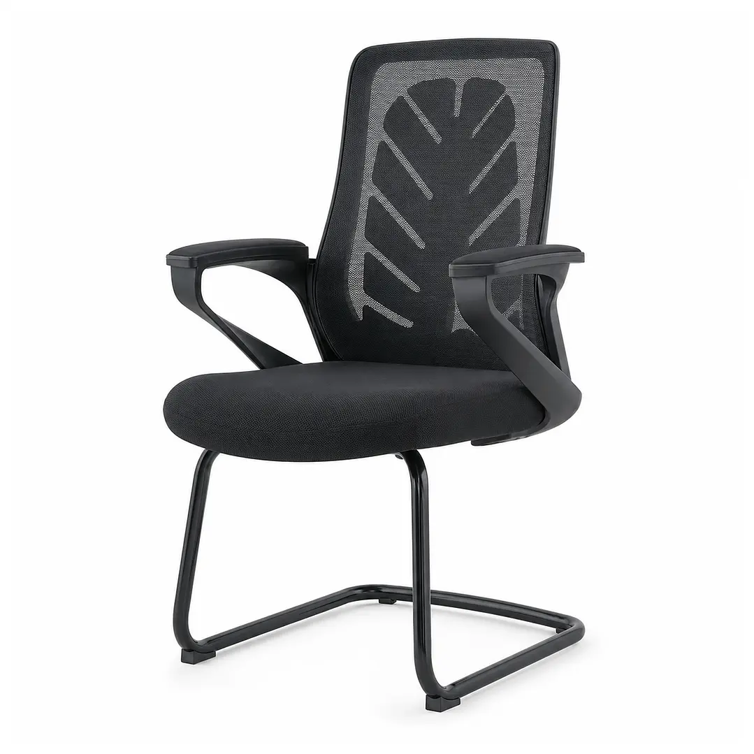 Cadeira Modelo D2206 1