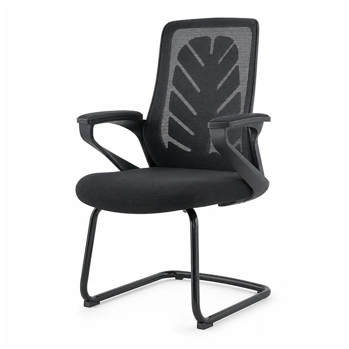 Cadeira Modelo D2206 1