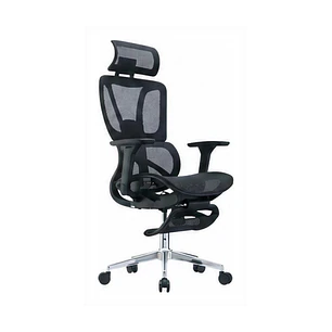 Cadeira Modelo A2309