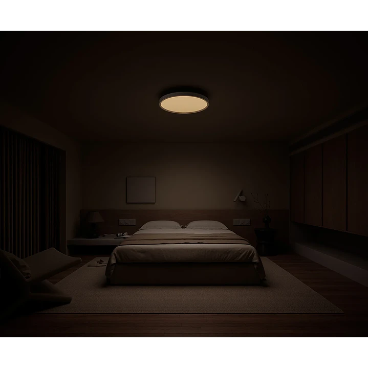 Xiaomi Smart Ceiling Light D40  9