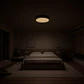 Xiaomi Smart Ceiling Light D40  - Thumbnail 9