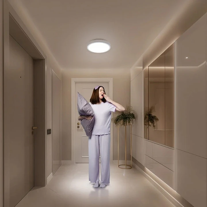 Xiaomi Smart Ceiling Light D20  4