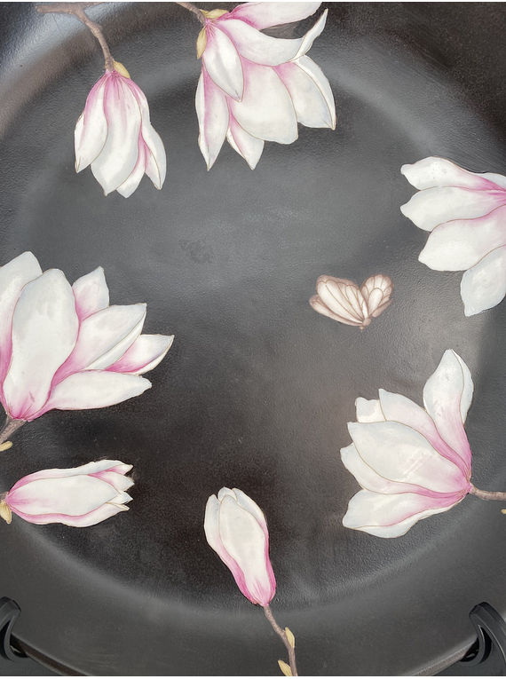 Plato Magnolias