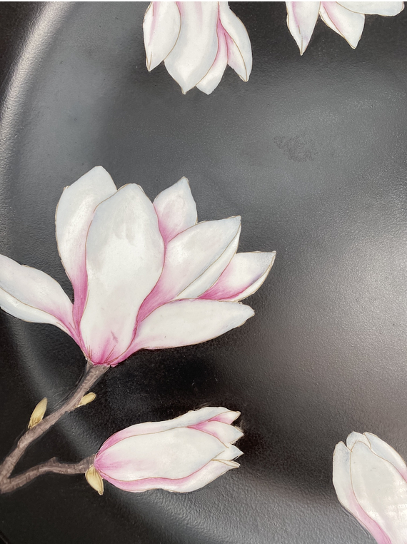 Plato Magnolias