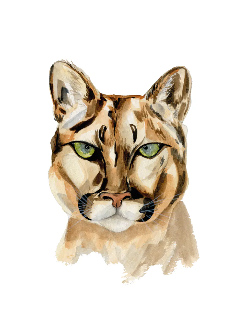 Puma 2