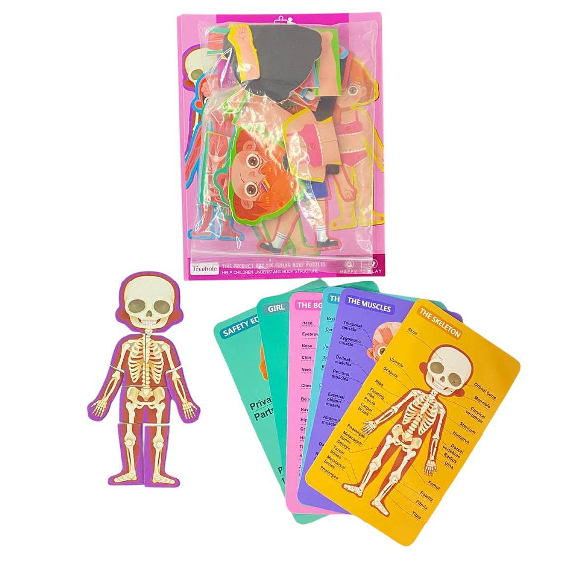 Puzzle Cuerpo Humano Magnético 5