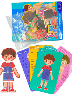 Puzzle Cuerpo Humano Magnético