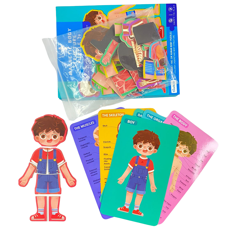 Puzzle Cuerpo Humano Magnético 2