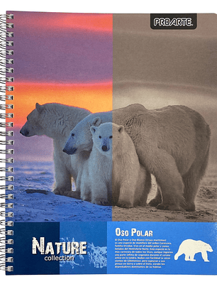 Pack 10 Cuadernos Nature Matemáticas 7MM 100 Hojas