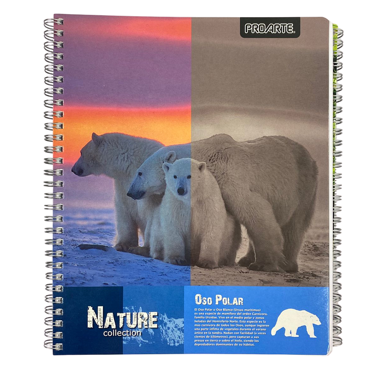 Pack 10 Cuadernos Nature Matemáticas 7MM 100 Hojas 2