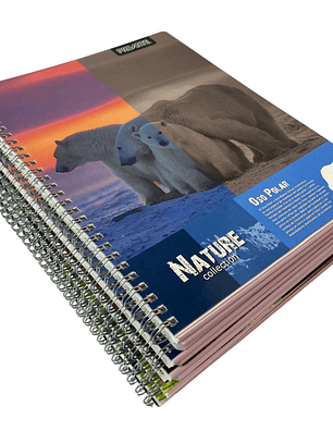 Pack 10 Cuadernos Nature Matemáticas 7MM 100 Hojas