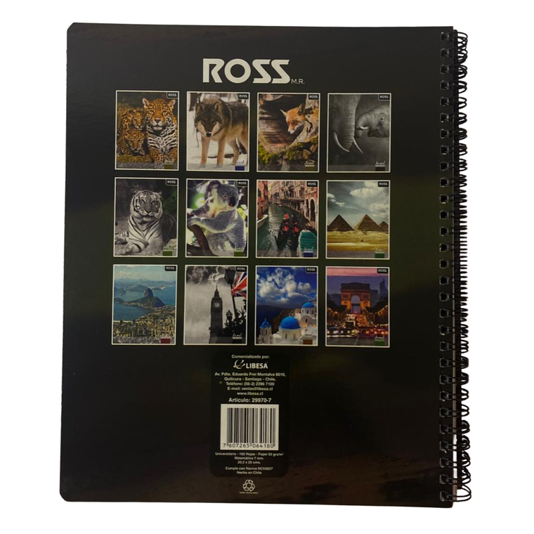 Pack 10 Cuadernos Animal Places 7MM 100 hojas 3