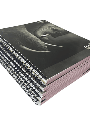 Pack 10 Cuadernos Animal Places 7MM 100 hojas