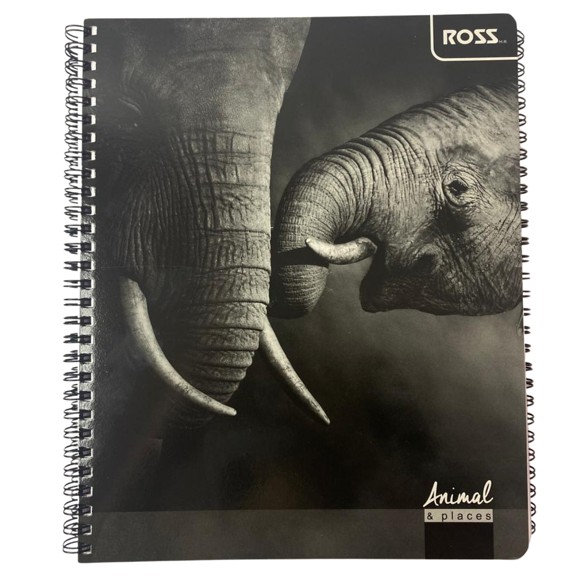 Pack 10 Cuadernos Animal Places 7MM 100 hojas 2