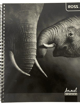 Pack 10 Cuadernos Animal Places 7MM 100 hojas