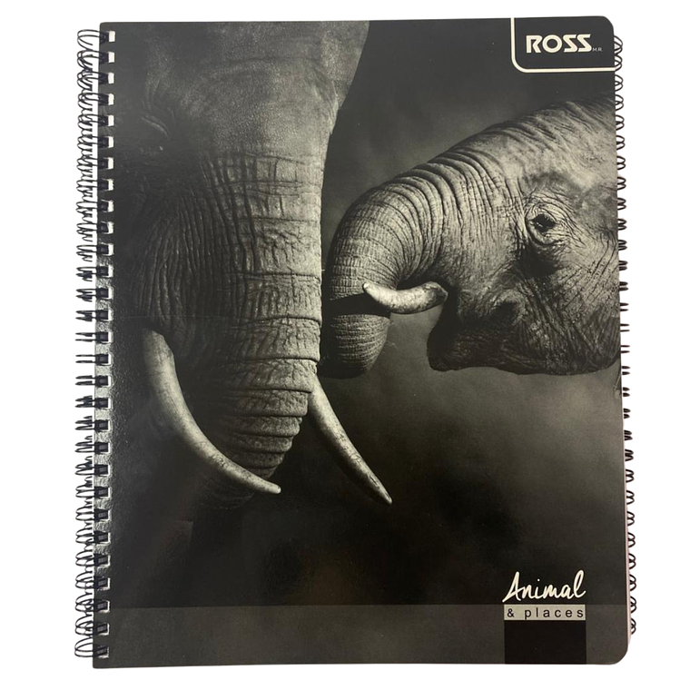 Pack 10 Cuadernos Animal Places 7MM 100 hojas 2