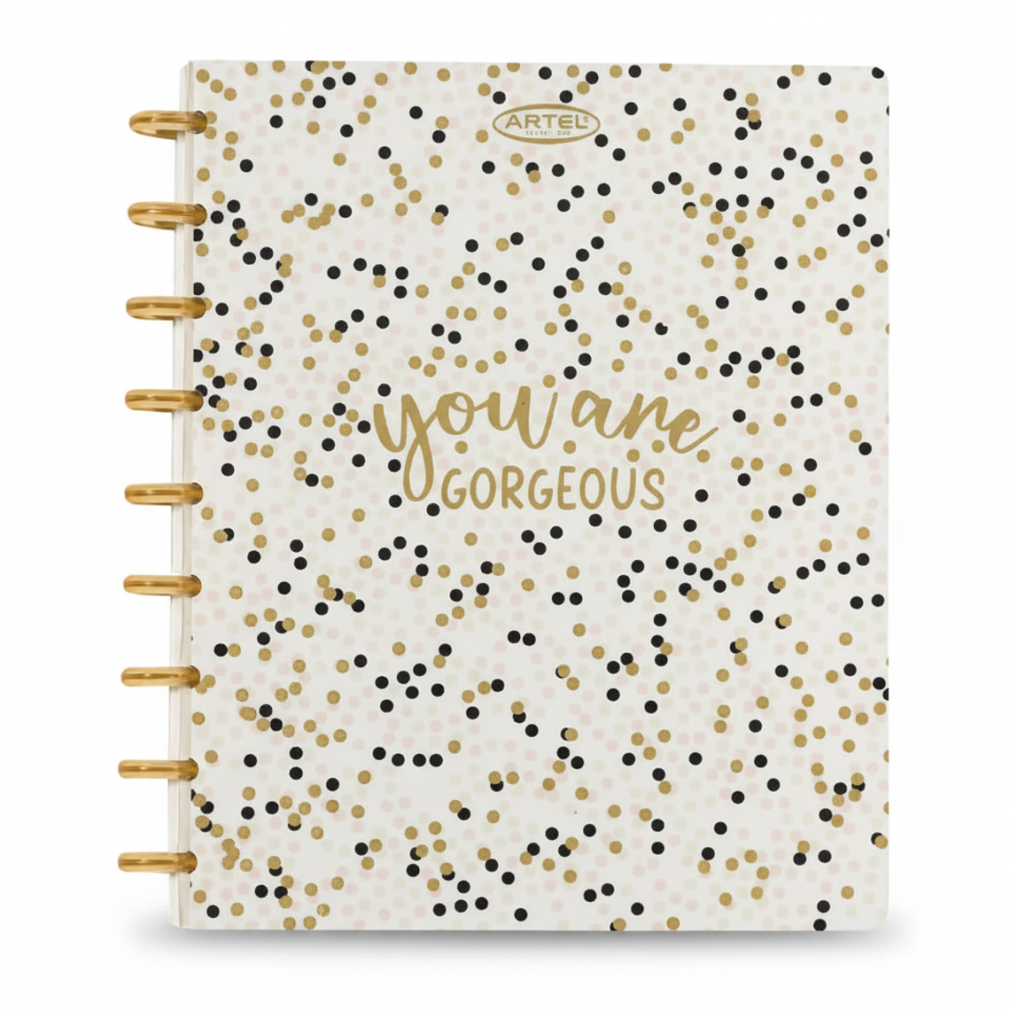 Cuaderno con Sistema de Discos 3 Divisiones  1