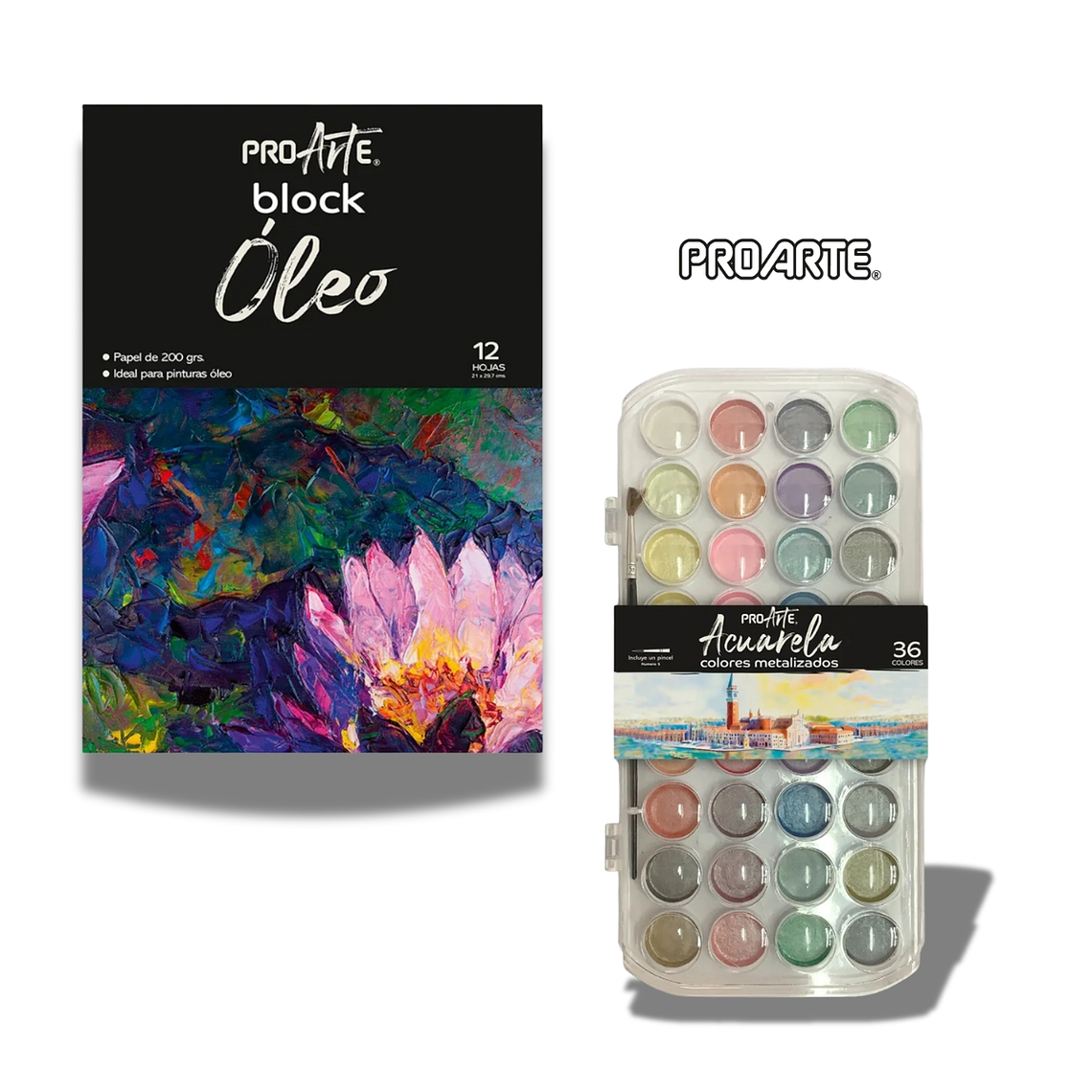 Set de Pintura Artística Proarte 1