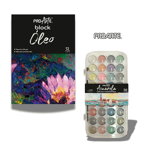 Set de Pintura Artística Proarte 1