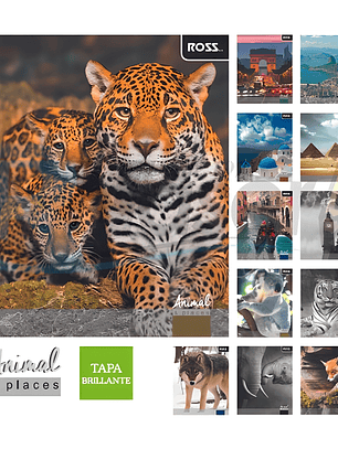 Cuaderno Universitario Animal Places Matemáticas 7mm Ross 100 Hojas Pack 10 Unidades