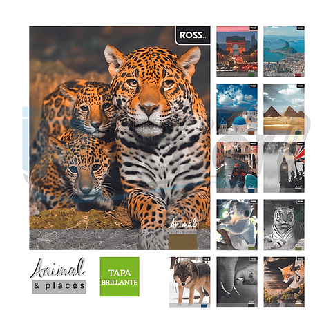 Cuaderno Universitario Animal Places Matemáticas 7mm Ross 100 Hojas Pack 10 Unidades 1