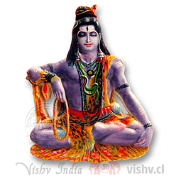 Imán Shiva ($1.490 x Mayor)