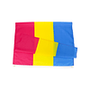 BANDERA PANSEXUAL (90x150cm)