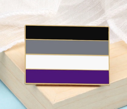 PIN/BROCHE BANDERA ASEXUAL