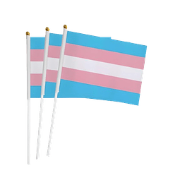 PACK DE 3 BANDERA TRANS DE MANO