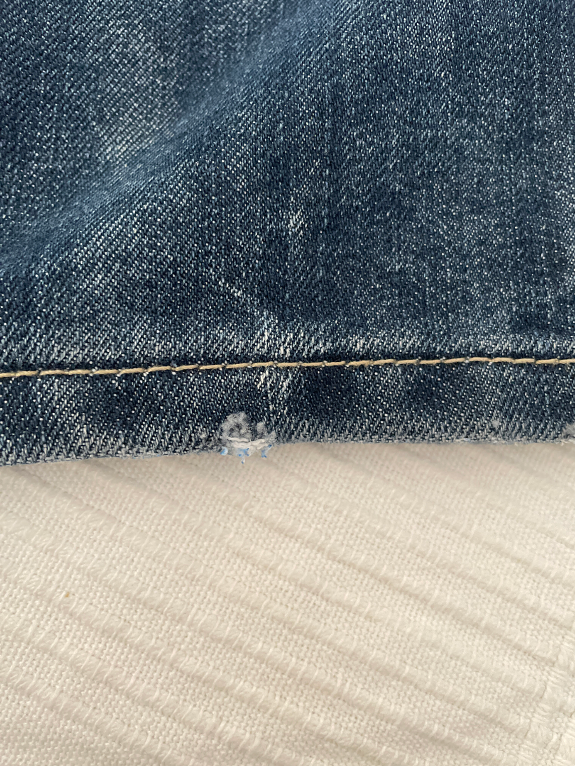 Short Vaquero Shine (M) 5