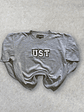 UST ST Thomas Sudadera Gris (M) - Miniatura 1
