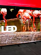 Pantalla LED P1.25 COB Indoor — Micro LED de alta densidad - Miniatura 2